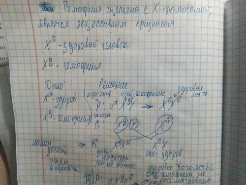 Нужна ! дети отца-гемофилика и здоровой матери вступают в брак со здоровыми людьми. какова вероятнос