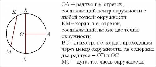 Понятие окружности: диаметр, радиус, хорда, дуга окружности.