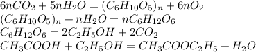 6nCO_2+5nH_2O=(C_6H_{10}O_5)_n+6nO_2\\(C_6H_{10}O_5)_n+nH_2O=nC_6H_{12}O_6\\C_6H_{12}O_6=2C_2H_5OH+2CO_2\\CH_3COOH+C_2H_5OH=CH_3COOC_2H_5+H_2O