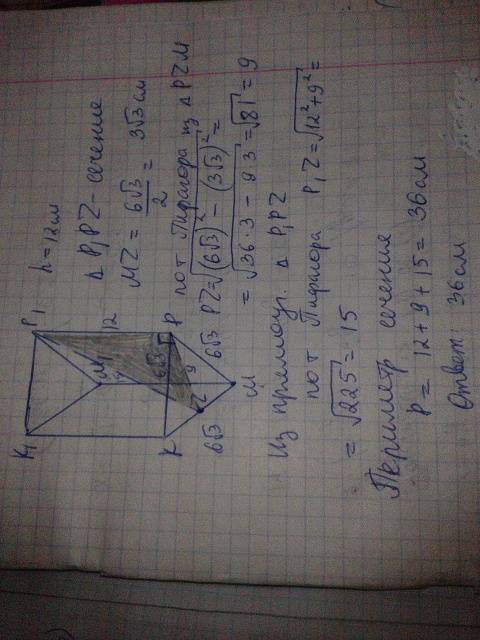Высота правильной призмы мркм1р1к1 равна 12 см. сторона её основания 6корень3см. вычеслите периметр