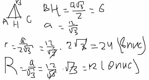 Высота правильноготреугольника 6 см.найдите радиус вписанной и описанной окружности,