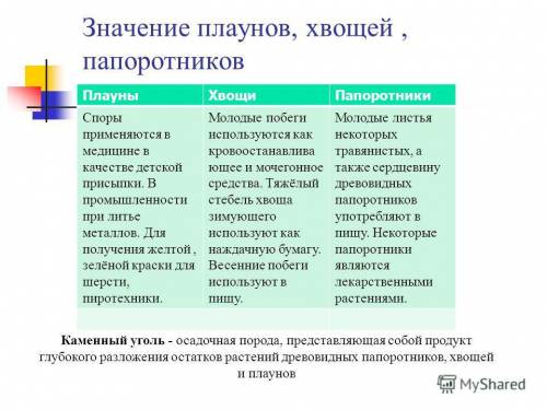 Каково значение плаунов хвощей и папоротников?