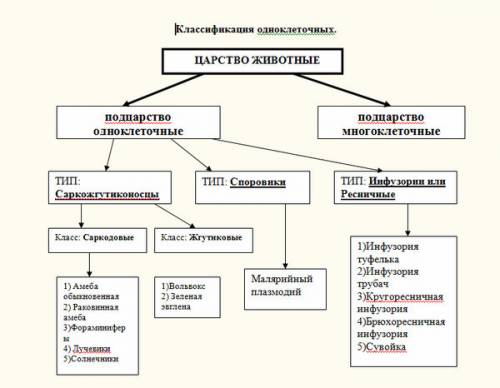 Вчём заключается отрицательное влияние разведение животных на природу?