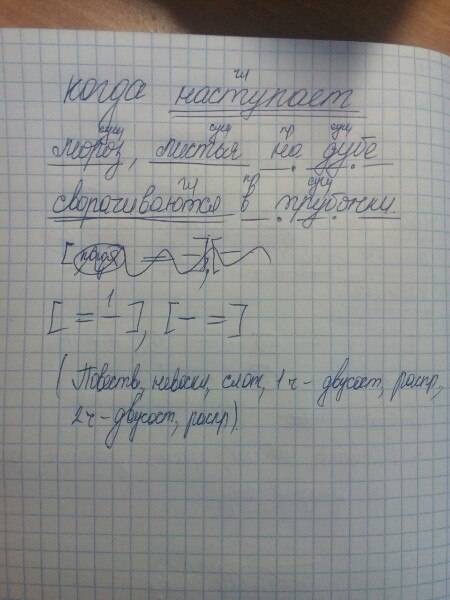 Разбор предложения: когда наступает мороз, листья на дубе сворачиваются в трубочки