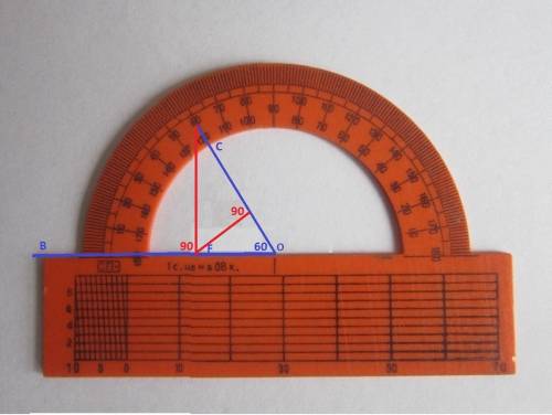 1. на координатной плоскости постройте отрезок mn и прямую ак, если м (–4; 6), n (–1; 0), а (–8; –1)