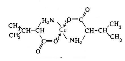 Биуретовая реакция. (ch3)2ch-ch(nh2)-cooh + (ch3)2ch-ch3-ch(nh2)-> (ch3)2ch-ch(nh2)-co-(ch3)2c-ch