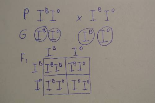 2. рассчитайте массу вредителей, которые уничтожат жабы на поле площадью 10 га за теплое время года