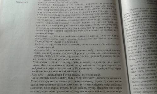 Жанр і сюжет твору кайдашева сім'я