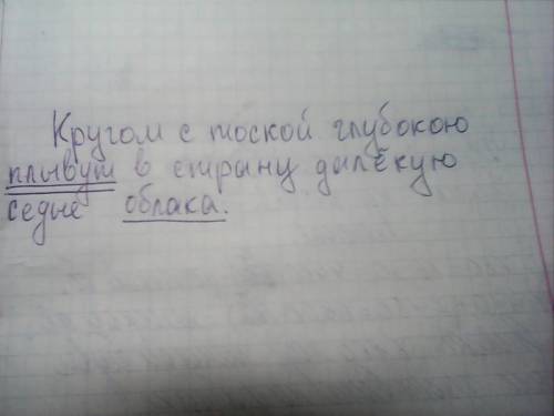 Кругом с тоской глубокою плывут в страну далекую седые облака.подчеркнуть грамматическую основу