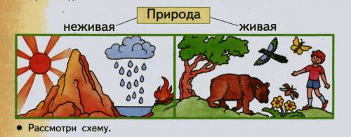 Как нарисовать рисунок показывающий связь между обьектами неживой и живой природы