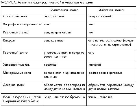 Сравните строение растительной если можно таблицай оргоноиды . растительная клетка.животная клетка