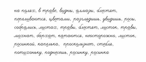 Выписать слова с безударными гласными в корне. когда в солнечное утро летом пойдешь в лес, то на пол