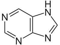 Составьте структурные формулы пиримидина и пурина?