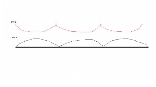 Нарисуйте двумя разными цетами примерные траектории своей левой ступни и левой кисти при ходьбе, рас