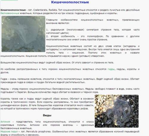 Сообщение по биологии на тему морские кишечнополостныет