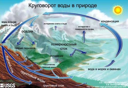 Опиши процесс круговорота воды в природе