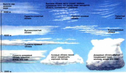 Все виды облаков которые были с 1 по 30 октября в переславле- залесском!