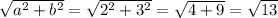 \sqrt{ a^{2} + b^{2} } = \sqrt{ 2^{2} + 3^{2} } = \sqrt{4+9} = \sqrt{13}