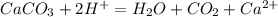 CaCO_3 + 2H^+ = H_2O + CO_2 + Ca^{2+}