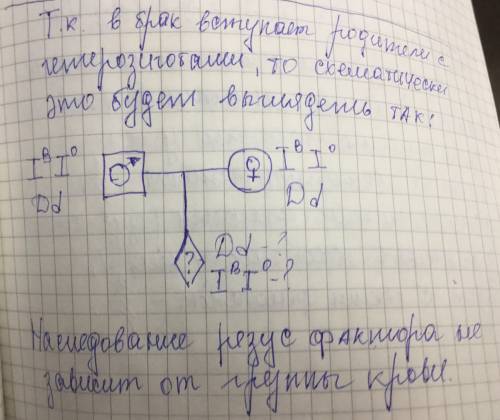 До шлюбу вступили дигетерозиготні чоловік і жінка , у яких резус-позитивна кров 3 групи . яка імовір