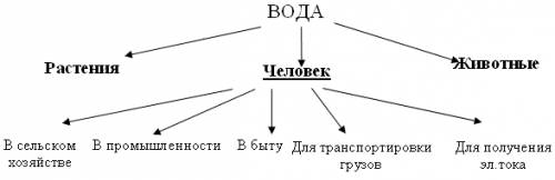 Схема-значение водных богатств в природе и жизни человека.