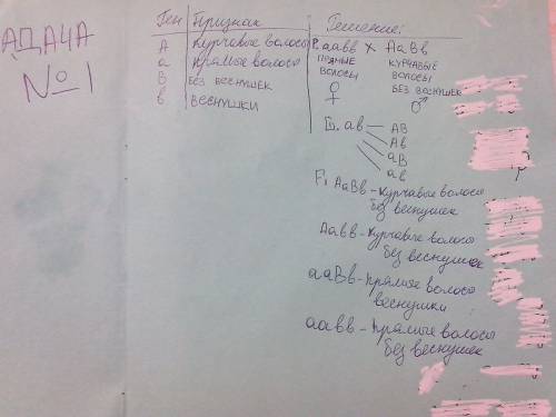 1.у женщины с прямыми волосами и без веснушек оба родителя имеют курчавые волосы и веснушки.её муж д