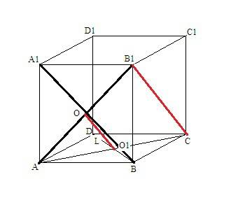 Точка о- точка пересечения диагоналей грани аа1в1в куба авсда1в1с1д1. прямая lпроходит через точку о