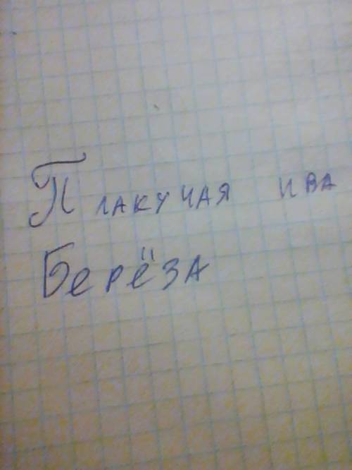 Какое дерево описано? 1)ветви сочною дугою перегнулись над водою,как зелёный водопад 2)ее бледно-лил