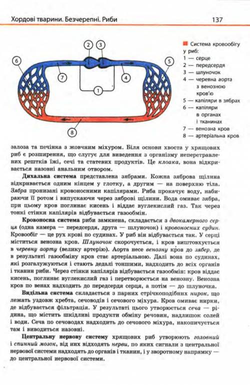 Какое усложнение нервной системы в сравнении с бесчерепными появляется у рыб? как это отражается на