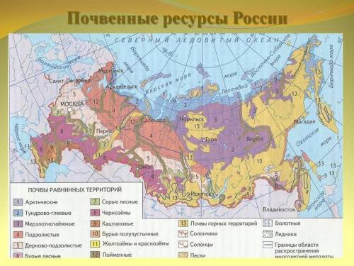 25 ! какая часть россии-европейская или азиатская-характеризуется большим разнообразием почвенного п