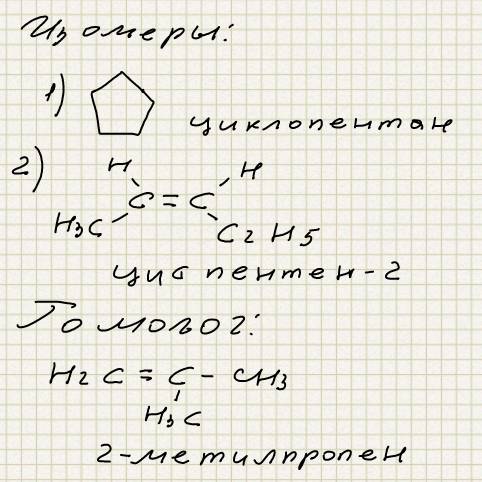 H2с=с-сн2-сн3 , ! i ch3 для того вещества составьте структурные формулы двух изомеров и одного гомол