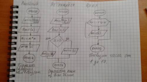 С! надо придумать алгоритмы; 1)линейный 2)ветвящиеся 3)циклический