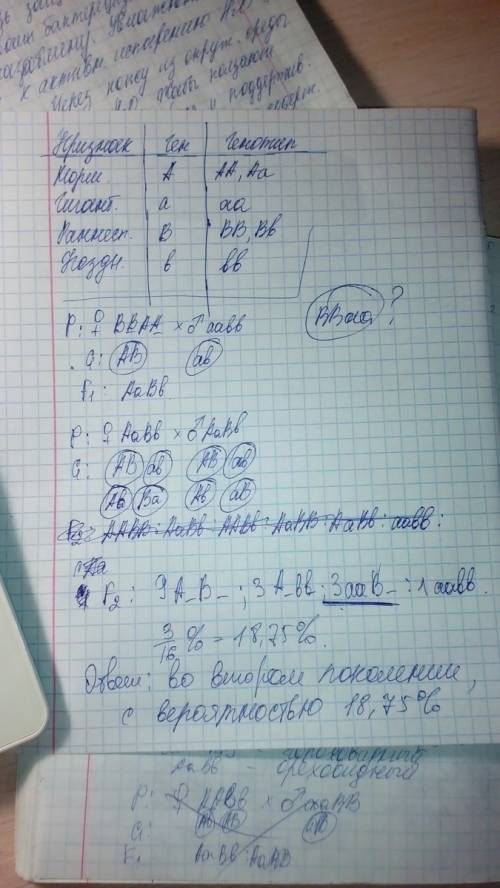 Уовса нормальный рост доминирует над гигантизмом,а раннеспелость-над позднеспелостью.признаки наслед