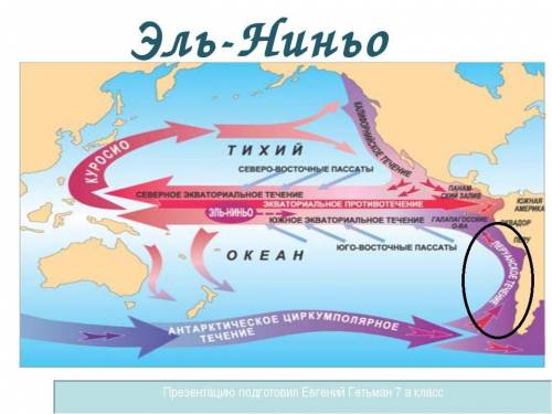 Стрелками покажите направления перуанского течения в год образования эль ниньо