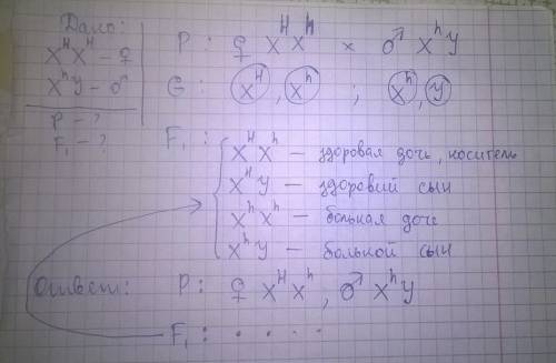 Вкаком случае примеры анализирующего скрещивания: 1 а) вв х вв и вв х вв б) dd x dd и dd x dd в) сс