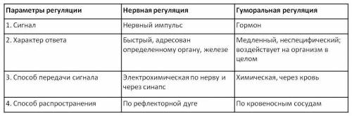 Сравните нервную и эндокринную регуляцию по следующим параметрам: быстрота реагтрования на раздражен