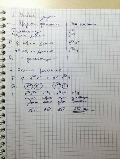 Улюдей одна из форм дальтонизма обусловлена рецессивным сцепленныйм с х-хромосомой геном гетерозигот