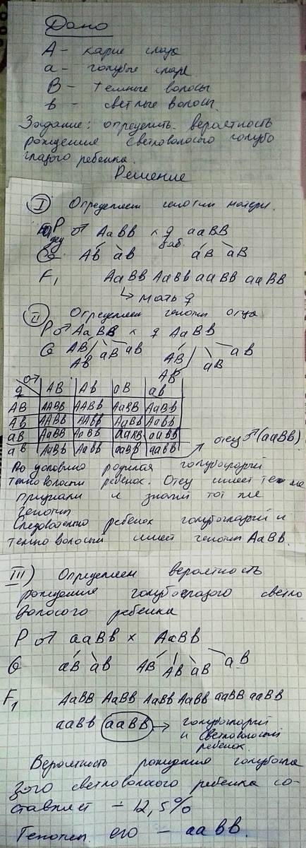 Всемье родился голубоглазый темноволосый ребенок, похожий по этим признакам на отца. мать – кареглаз