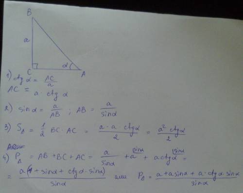 Дан треугольник авс, угол с = 90°, вс = а, угол сав = α (альфа). найти: 1) ас, 2) ав; 3) площадь авс