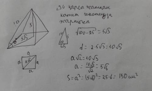 Төртбұрышты дұрыс пирамиданың бүйір қыры оның биіктігімен 30 бұрыш жасайды. егер пирамиданың биіктіг