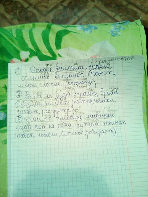 Дождик вымочит ,красно солнышко высушит. 3.фома на дудке играет, ерёма глазами мигает. 5.кошка в лук