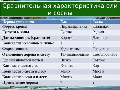 Сравните сосну и ель. , составьте таблицу, без нее не как, если можно сам не могу!