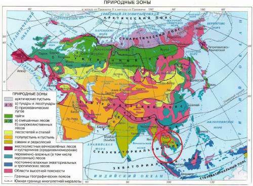 Природные зоны и их основные особенности.таиланд