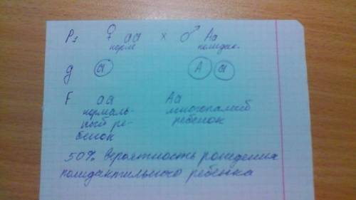 Учеловека ген полидактилии (многопалости) доминирует над нормальным строением кисти. у жены кисть но