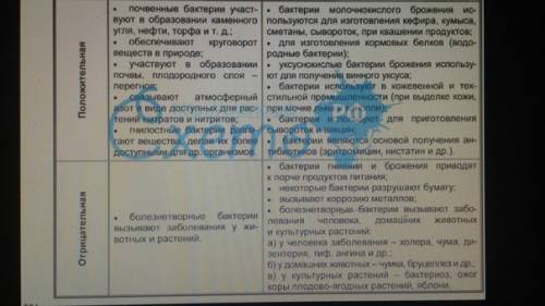 Напишите значения бактерий в природе и в жизни человека. напишите в виде таблицы. тоесть: в природе