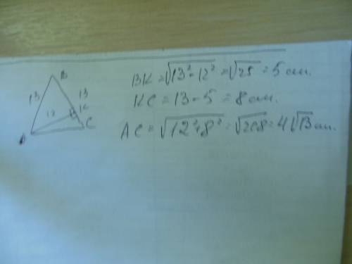 Вравнобедренном треугольнике с боковой стороной 13 см проведена высота,равная 12 см.найдите основани