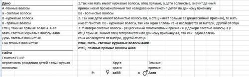 Тёмные волосы наследуются как аутосомный доминантный признак, прямые волосы — как аутосомный рецесси