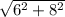 \sqrt{6^{2} + 8^{2} }