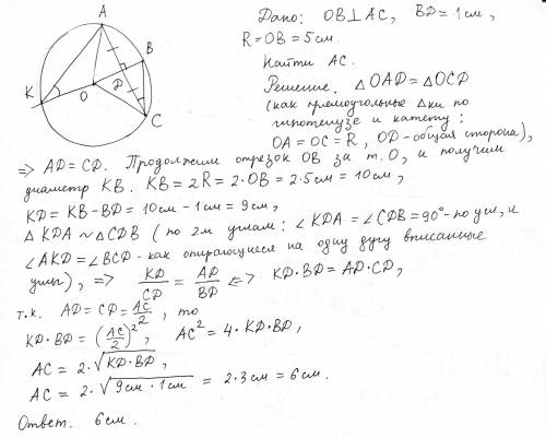 Радиус ob окружности с центром в точке o пересекает хорду ac в точке d и перпендикулярен ей. найдите