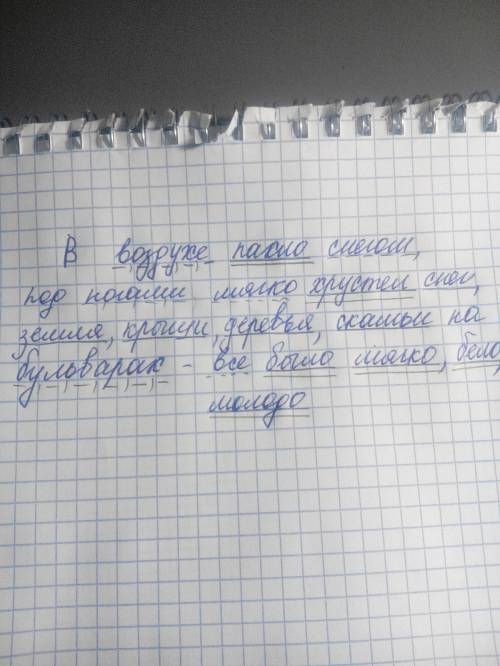 Сделать синтаксический разбор предложения в воздухе пахло снегом, под ногами мягко хрустел снег, зем